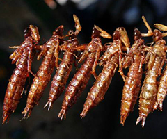 ABUIABACGAAgjZKS4QUont7iogcw8AE4yAE