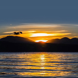 私人定制 云南六天五晚游