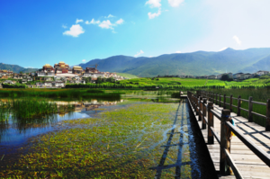 ABUIABAEGAAg5_-b5AUokKXI8gYwiQk4ggY